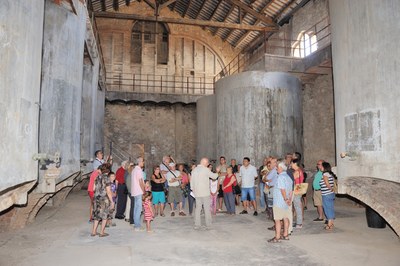 Aquesta tardor, noves visites al celler Martinell