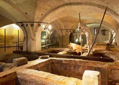 El 7 d'abril, visita guiada i gratuïta al Museu de la Pell