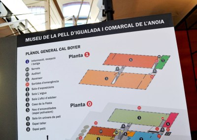 El 7 d'octubre, visita guiada i gratuïta al Museu de la Pell
