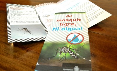 L’Ajuntament d’Igualada recorda prendre mesures preventives per evitar la proliferació del mosquit tigre