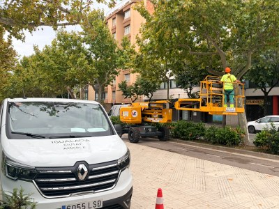 L'Ajuntament posa en marxa el pla de poda 2026-2027 per garantir la seguretat i el bon creixement arbrari 