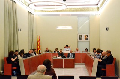 Sessió ordinària de ple, abril de 2017