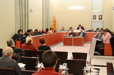 Sessió ordinària de ple, gener de 2017