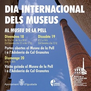 Dia Internacional dels Museus