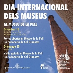 Dia Internacional dels Museus