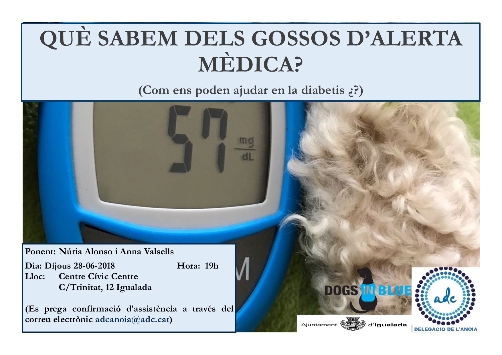 gossos diabetis